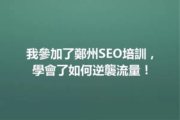 我參加了鄭州SEO培訓,學會了如何逆襲流量! 一