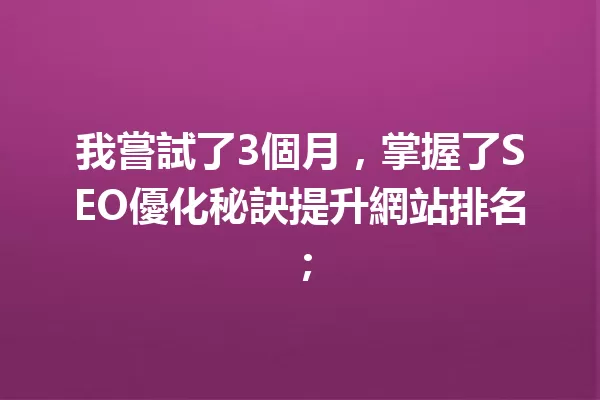 我嘗試了3個月,掌握了SEO優化秘訣提升網站排名; 一
