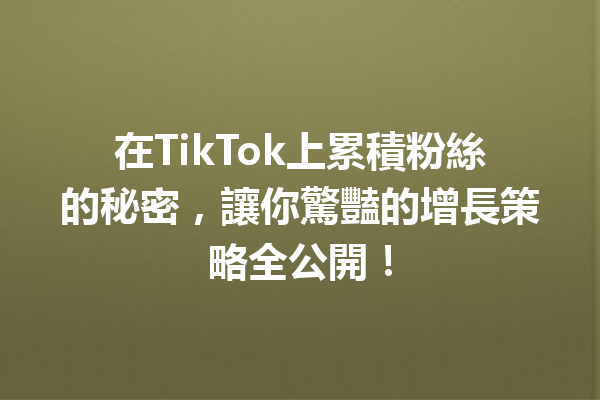 在TikTok上累積粉絲的秘密,讓你驚豔的增長策略全公開! 在TikTok上累積粉絲的秘密,讓你驚豔的增長策略全公開!