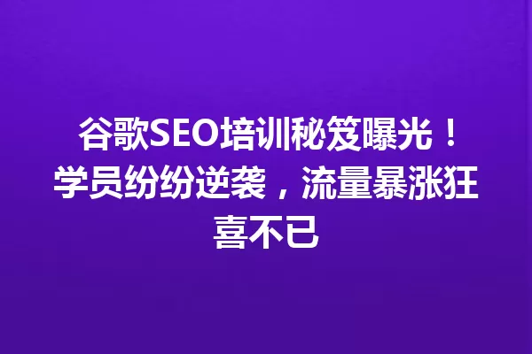 谷歌SEO培训秘笈曝光!学员纷纷逆袭,流量暴涨狂喜不已 一