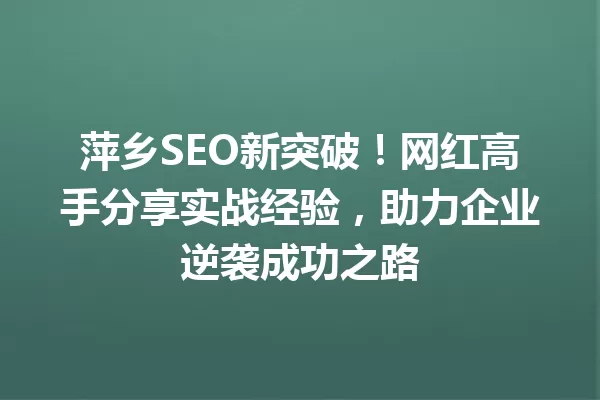 萍乡SEO新突破!网红高手分享实战经验,助力企业逆袭成功之路 一