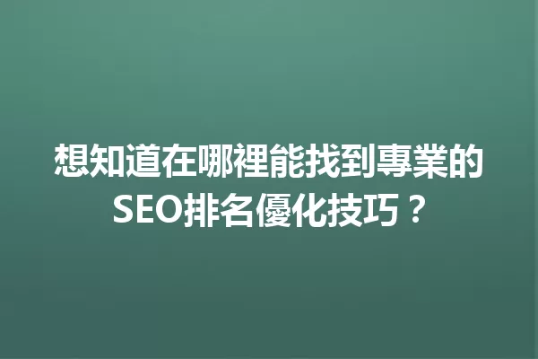 想知道在哪裡能找到專業的SEO排名優化技巧? 一
