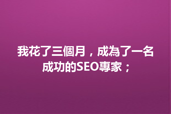 我花了三個月,成為了一名成功的SEO專家; 我花了三個月,成為了一名成功的SEO專家;