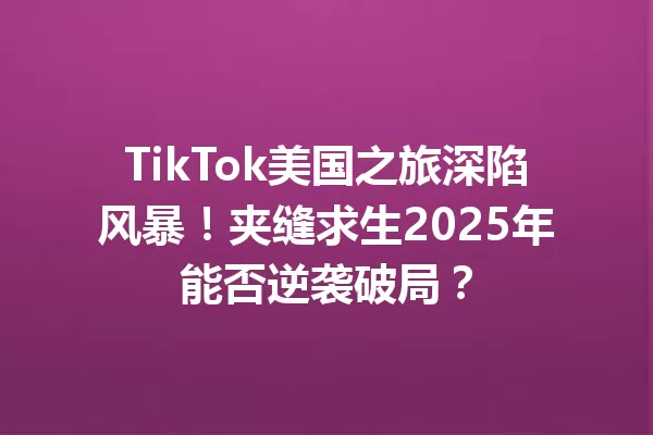 TikTok美国之旅深陷风暴!夹缝求生2025年能否逆袭破局? 一