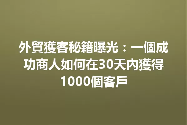 外貿獲客秘籍曝光:一個成功商人如何在30天內獲得1000個客戶 一