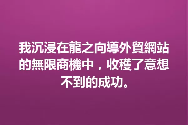 我沉浸在龍之向導外貿網站的無限商機中,收穫了意想不到的成功。 一