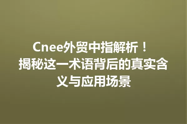 Cnee外贸中指解析! 揭秘这一术语背后的真实含义与应用场景 一