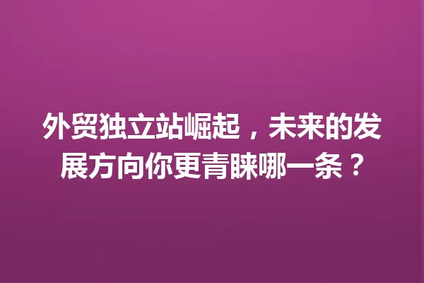 外贸独立站崛起,未来的发展方向你更青睐哪一条? 一