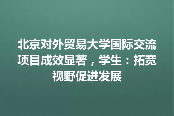 北京对外贸易大学国际交流项目成效显著,学生:拓宽视野促进发展 一