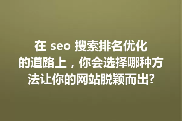 在 seo 搜索排名优化的道路上,你会选择哪种方法让你的网站脱颖而出? 一