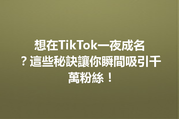 想在TikTok一夜成名?這些秘訣讓你瞬間吸引千萬粉絲! 想在TikTok一夜成名?這些秘訣讓你瞬間吸引千萬粉絲!