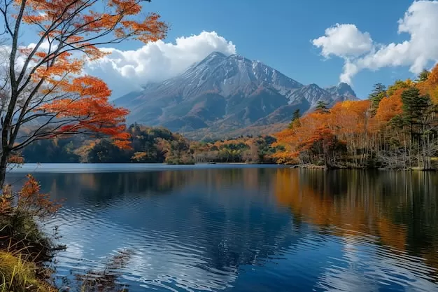 TikTok與抖音雙平台新玩法揭曉，網紅經濟引領潮流！ 二