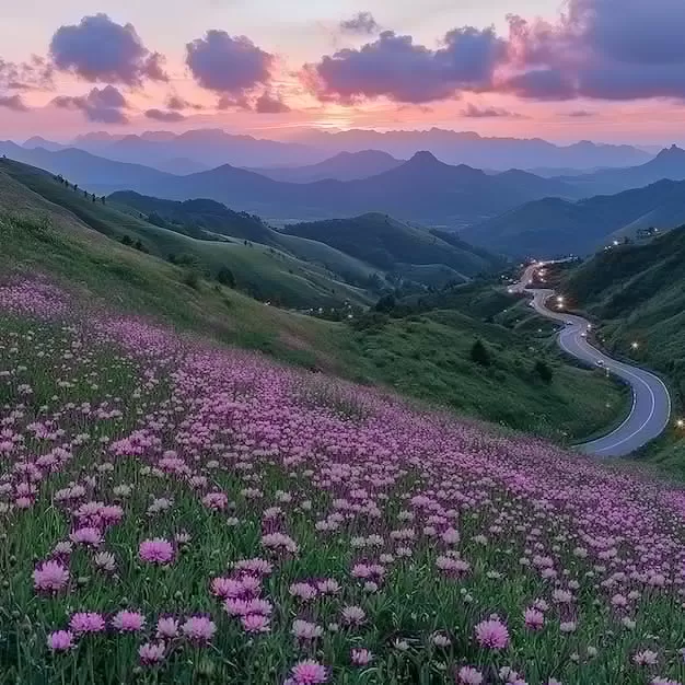 抖音與TikTok跨洋碰撞！ 快速成名的祕密竟在這裡 二