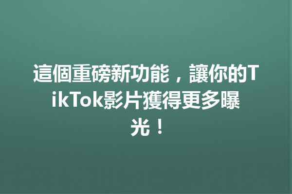 這個重磅新功能,讓你的TikTok影片獲得更多曝光! 這個重磅新功能,讓你的TikTok影片獲得更多曝光!