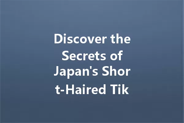 Discover the Secrets of Japan's Short-Haired TikTok Stars! 一