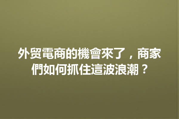 外贸電商的機會來了,商家們如何抓住這波浪潮? 外贸電商的機會來了,商家們如何抓住這波浪潮?