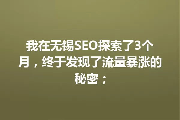 我在无锡SEO探索了3个月，终于发现了流量暴涨的秘密； 一