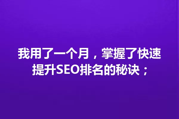 我用了一个月,掌握了快速提升SEO排名的秘诀; 一