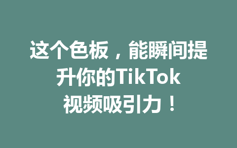 这个色板,能瞬间提升你的TikTok视频吸引力! 这个色板,能瞬间提升你的TikTok视频吸引力!