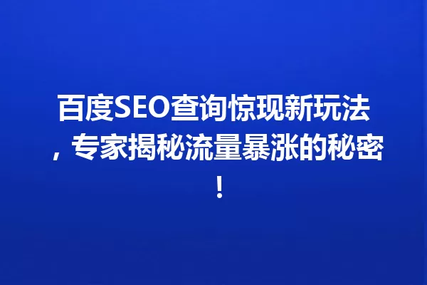 百度SEO查询惊现新玩法,专家揭秘流量暴涨的秘密! 一