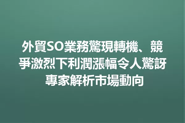 外貿SO業務驚現轉機、競爭激烈下利潤漲幅令人驚訝 專家解析市場動向 1