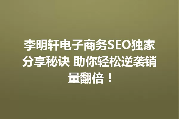 李明轩电子商务SEO独家分享秘诀 助你轻松逆袭销量翻倍! 一