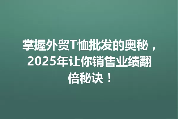 掌握外贸T恤批发的奥秘,2025年让你销售业绩翻倍秘诀! 1