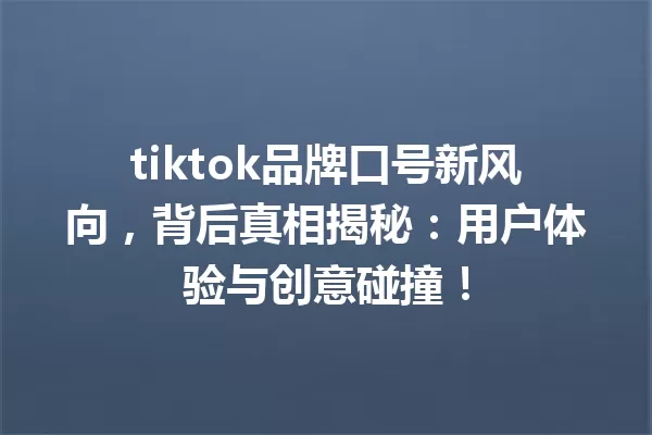 tiktok品牌口号新风向,背后真相揭秘:用户体验与创意碰撞! 一