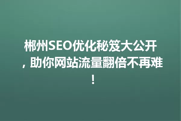 郴州SEO优化秘笈大公开,助你网站流量翻倍不再难! 一