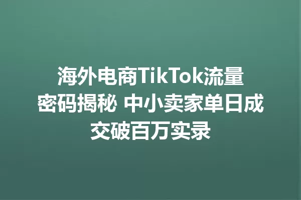 海外电商TikTok流量密码揭秘 中小卖家单日成交破百万实录 一