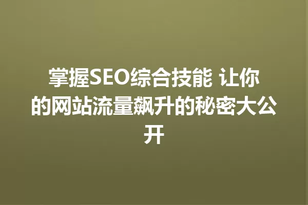 掌握SEO综合技能 让你的网站流量飙升的秘密大公开 一