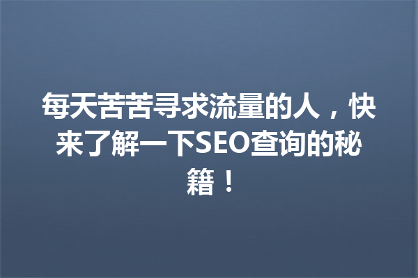 每天苦苦寻求流量的人,快来了解一下SEO查询的秘籍! 每天苦苦寻求流量的人,快来了解一下SEO查询的秘籍!