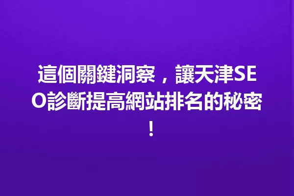 這個關鍵洞察,讓天津SEO診斷提高網站排名的秘密! 一