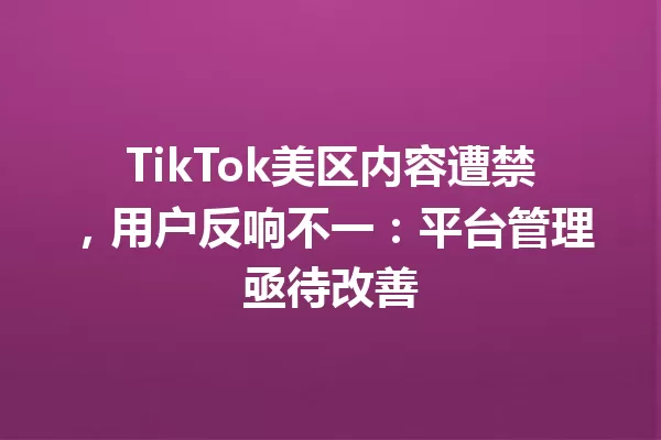 TikTok美区内容遭禁,用户反响不一:平台管理亟待改善 二
