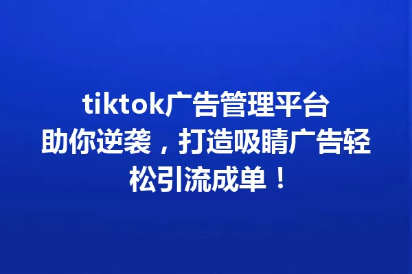 tiktok广告管理平台助你逆袭,打造吸睛广告轻松引流成单! 二