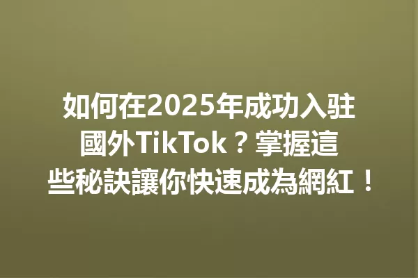 如何在2025年成功入驻國外TikTok?掌握這些秘訣讓你快速成為網紅! 二