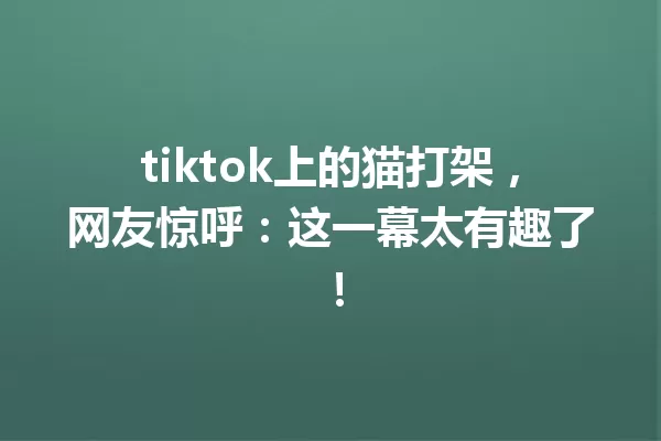 tiktok上的猫打架,网友惊呼:这一幕太有趣了! 一