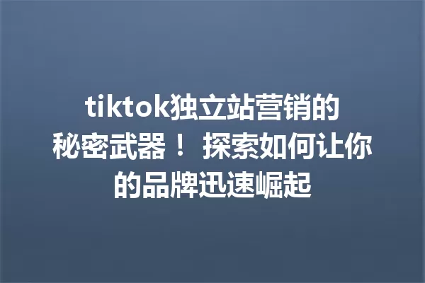tiktok独立站营销的秘密武器! 探索如何让你的品牌迅速崛起 一