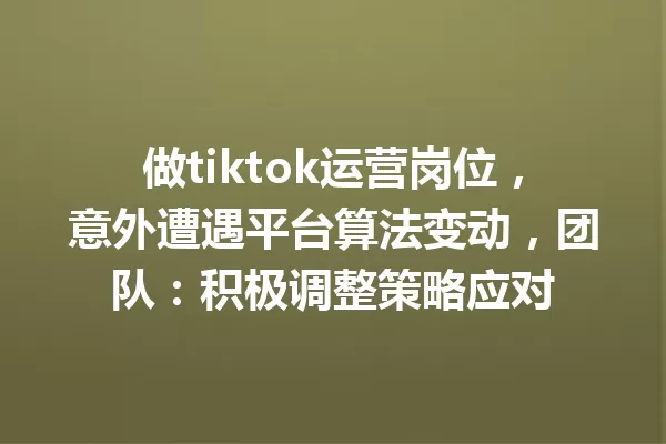 做tiktok运营岗位,意外遭遇平台算法变动,团队:积极调整策略应对 一