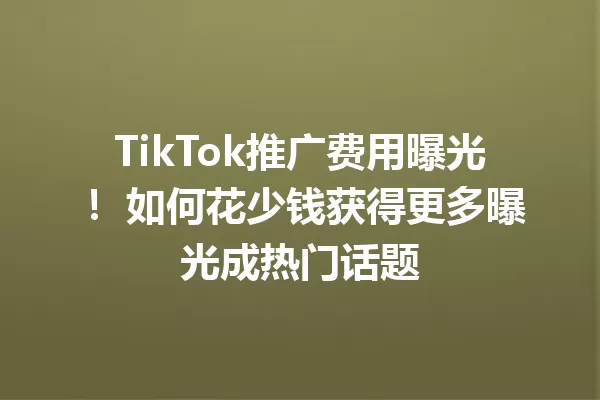 TikTok推广费用曝光! 如何花少钱获得更多曝光成热门话题 二
