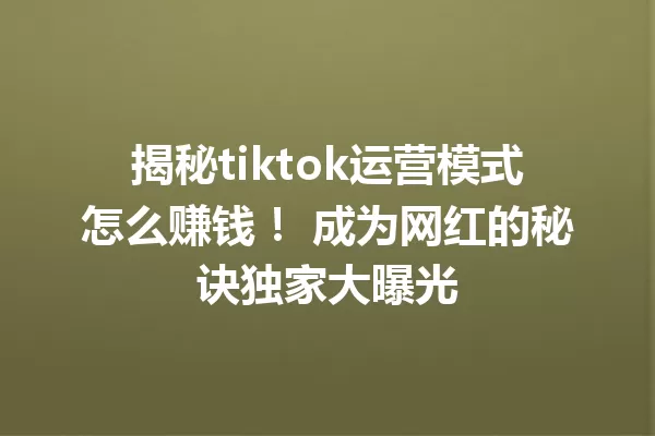 揭秘tiktok运营模式怎么赚钱! 成为网红的秘诀独家大曝光 一