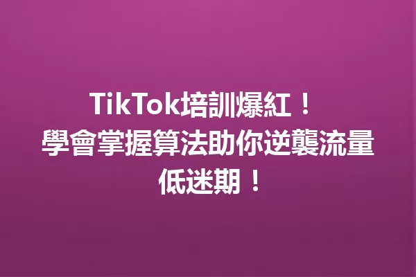 TikTok培訓爆紅! 學會掌握算法助你逆襲流量低迷期! 二