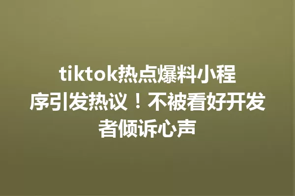 tiktok热点爆料小程序引发热议!不被看好开发者倾诉心声 二