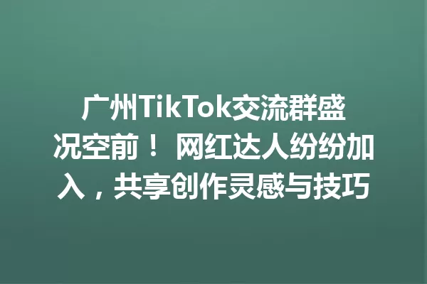 广州TikTok交流群盛况空前! 网红达人纷纷加入,共享创作灵感与技巧 一