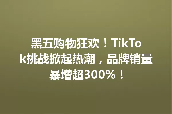 黑五购物狂欢!TikTok挑战掀起热潮,品牌销量暴增超300%! 二