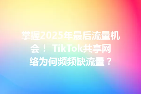掌握2025年最后流量机会! TikTok共享网络为何频频缺流量? 二