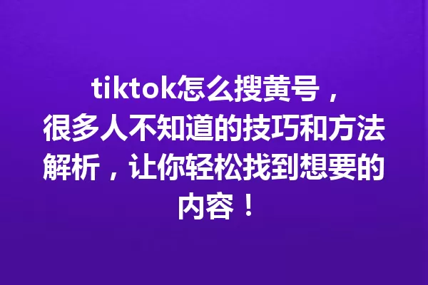 tiktok怎么搜黄号,很多人不知道的技巧和方法解析,让你轻松找到想要的内容! 一