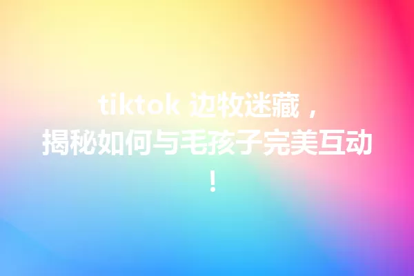tiktok 边牧迷藏,揭秘如何与毛孩子完美互动! 一