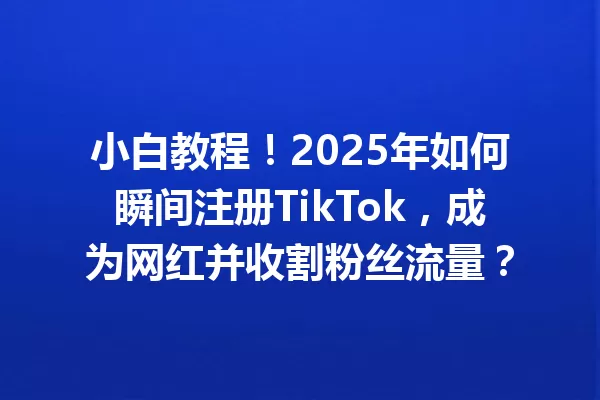 小白教程!2025年如何瞬间注册TikTok,成为网红并收割粉丝流量? 二