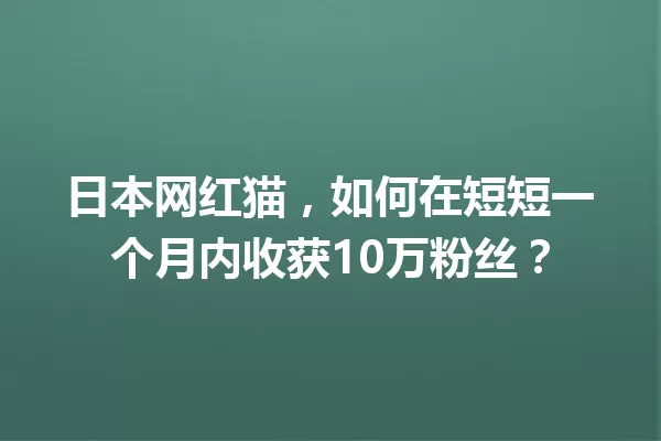 日本网红猫,如何在短短一个月内收获10万粉丝? 一